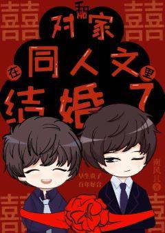 Married with my partner in a fanfiction